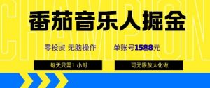 番茄音乐人掘金，单账号最高可撸1k+，可无限矩阵去做，零投入-柯南聊项目