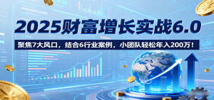 2025财富增长实战6.0，聚焦7大风口，结合6行业案例，小团队轻松年入200万！-柯南聊项目