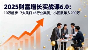 2025财富增长实战课6.0：10万起步+7大风口+6行业案例，小团队年入200万-柯南聊项目