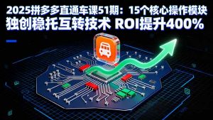 2025拼多多直通车课51期：15个核心操作模块 独创稳托互转技术 ROI提升400%-柯南聊项目