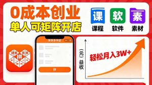 拼多多虚拟电商，0成本，单人可矩阵开店，轻松月入3W+-柯南聊项目