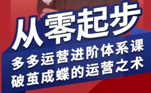 拼多多运营进阶系统课，从零起步，多多运营进阶体系课，破茧成蝶的运营之术(更新9月)-柯南聊项目