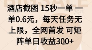 酒店截图15秒一单，一单0.6米，每天任务无上限，全网首发可矩阵单日收益3张【揭秘】-柯南聊项目