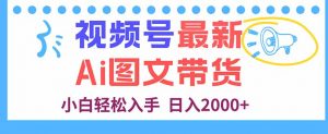 视频号最新AI图文带货，每天几分钟，小白轻松入手，日入2000+-柯南聊项目