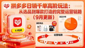 拼多多日销千单高阶玩法：从选品到爆款打造的完整运营链路(9月更新-柯南聊项目