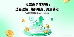 抖音爆品实战课：选品逻辑、矩阵裂变、流量转化，14节课掌握月入百万秘籍-柯南聊项目