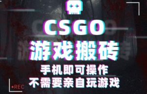 CSGO游戏挂G捡漏，单日扫货5张+，年底小高峰上车可吃肉，手机即可操作，兼职副业创业网创【揭秘】-柯南聊项目