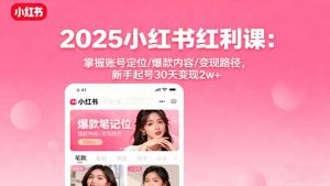2025小红书红利课：掌握账号定位/爆款内容/变现路径，新手起号30天变现2w+-柯南聊项目