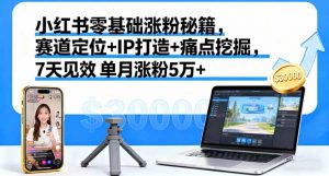 小红书零基础涨粉秘籍，赛道定位+IP打造+痛点挖掘，7天见效 单月涨粉5万+-柯南聊项目