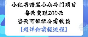 小红书暗黑小众冷门项目每天变现2张当天可能就会有收益-柯南聊项目