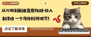 从兴趣到副业靠宠物占卜收入翻3倍一个月纯利润破W-柯南聊项目