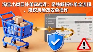 淘宝小类目补单实战课：系统解析补单全流程、降权风险及安全操作-柯南聊项目