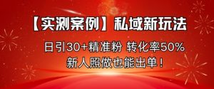 【实测案例】私域新玩法，日引30+精准粉，转化率50%，新人照做也能出单！-柯南聊项目