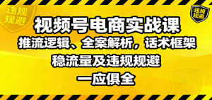 视频号电商实战课：推流逻辑、全案解析，话术框架，稳流量及违规规避等-柯南聊项目