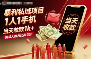 暴利私域项目1人1手机，当天收款1k+，需求人群占比高，当天就能见到钱-柯南聊项目