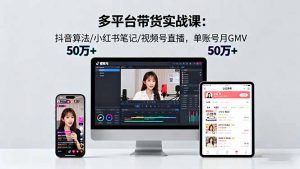 多平台带货实战课18.0：抖音算法/小红书笔记/视频号直播，单账号月GMV50w+-柯南聊项目