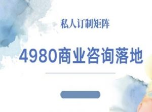 4980商业咨询师落地课程-ip运营高客单教程-柯南聊项目