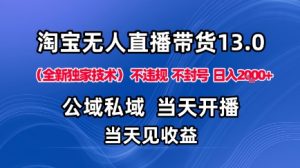淘宝无人直播13.0，公域私域技术，不封号，不违规布局下半年旺季赛道，日入1K+(独家技术)【揭秘】-柯南聊项目