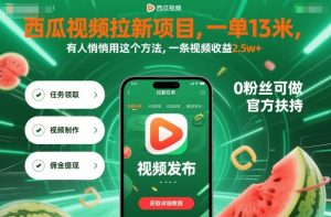 西瓜视频拉新项目，一单13米，有人悄悄用这个方法，一条视频收益2.5w+(附详细教程)-柯南聊项目