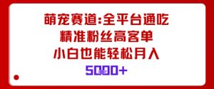 萌宠赛道，全平台通吃，精准粉丝高客单，小白也能轻松月入5k-柯南聊项目