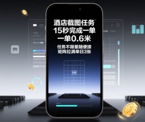 酒店截图任务，15秒完成一单，一单0.6米，任务不限量随便接，矩阵拉满单日3张【揭秘】-柯南聊项目