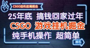 25年底搞钱回家过年，CSGO游戏挂机掘金，纯手机操作超简单-柯南聊项目