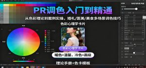 PR调色入门到精通：从色彩理论到案例实操，婚礼/医美/美食多场景调色技巧-柯南聊项目