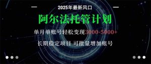 阿尔法托管计划 单账号月入3000-5000，长期稳定项目，新手小白轻松上手。-柯南聊项目