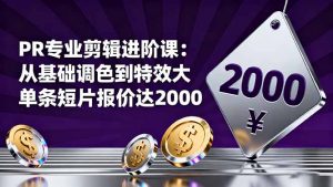 PR专业剪辑进阶课：从基础调色到特效大片的进阶技能，单条短片报价达2000-柯南聊项目