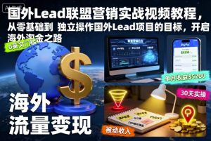 国外Lead联盟营销实战视频教程，从零基础到独立操作国外Lead项目的目标，开启海外淘金之路-柯南聊项目