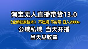 淘宝无人直播13.0，公域私域技术，不封号，不违规 布局下半年旺季赛道，日入2000+-柯南聊项目