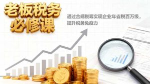 老板税务必修课，通过合规税筹实现企业年省税百万级，提升税务免疫力-柯南聊项目