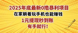 2025年底最新0撸暴利项目，在家也能躺赚，1元秒提现，有手就行！-柯南聊项目