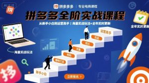 拼多多全阶实战课程，从新手小白到运营高手，海量实战玩法+全年实时更新【2025年10月更新】-柯南聊项目