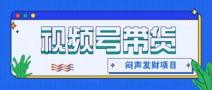 微信视频号带货项目，轻松日赚赚2000+，这个挣钱入口很多伙伴都在闷声发财-柯南聊项目