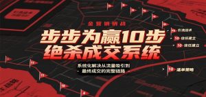 步步为赢10步绝杀成交系统，系统化解决从流量吸引到最终成交的完整链路-柯南聊项目