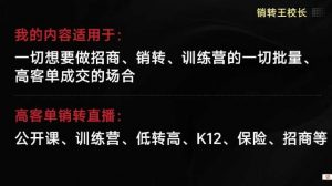 销转王校长合集，销转课，把公开课做成印钞机，送王校长印钞机课-柯南聊项目