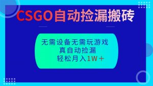 CSGO自动捡漏搬砖，当天操作当天见结果，无需了解游戏，包教包会包落地-柯南聊项目