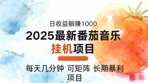 2025年最新番茄音乐人挂机项目，每天几分钟，月入1000＋，可矩阵，一台…-柯南聊项目