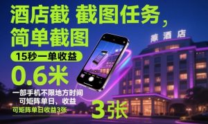 酒店截图任务，简单截图，15秒一单收益0.6米，一部手机不限地方时间，可矩阵单日收益3张【揭秘】-柯南聊项目