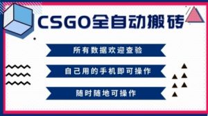 CSGO全自动搬砖，年底钱回家好项目，当天可拿到结果，新手小白轻松月入1W+【揭秘】-柯南聊项目