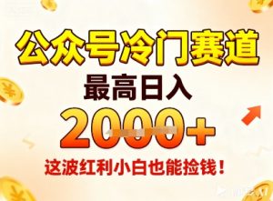 公众号冷门赛道，最高日入1k+，这波红利小白也能捡钱！-柯南聊项目