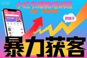 小红书爆款培训班，小红书获客野路子流量打法，暴力持续获客-柯南聊项目