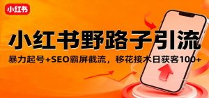 小红书野路子引流，暴力起号+SEO霸屏截流，移花接木日获客100+-柯南聊项目