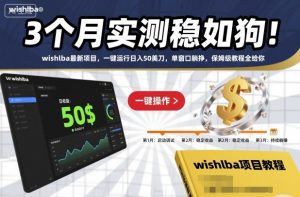 3个月实测稳如狗！wishlba最新项目，一键运行日入50美刀，单窗口躺挣，保姆级教程全给你【揭秘】-柯南聊项目