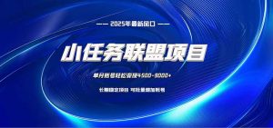 小任务联盟项目：一台电脑每天只需10分钟，轻松简单稳定-柯南聊项目