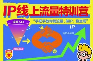 IP线上流量特训营，手把手教你搞流量、做IP、稳变现-柯南聊项目