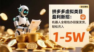 拼多多虚拟类目盈利新招：机器人全程包办回复发货，轻松月入 1-5W-柯南聊项目