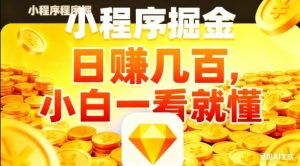 微信小程序掘金项目，日入几张，项目简单，小白一看就懂，5分钟就能学会上手操作【揭秘】-柯南聊项目