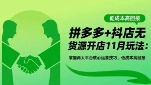 拼多多+抖店无货源开店11月玩法：掌握两大平台核心运营技巧，低成本高回报-柯南聊项目